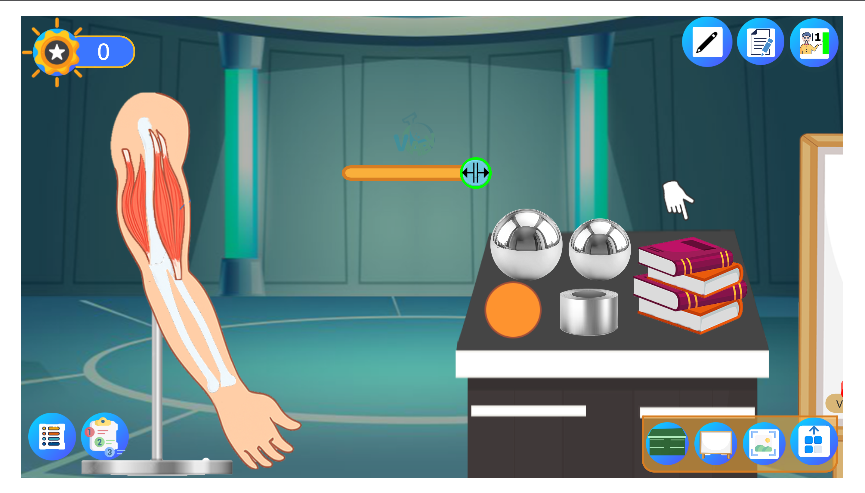 Arm Movement by Muscle Contraction and Relaxation